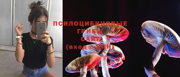 стаф Алексин