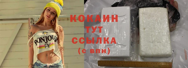 дживик Алзамай
