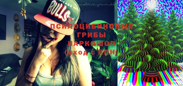 стаф Алексин