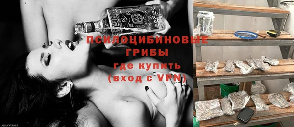 дживик Алзамай