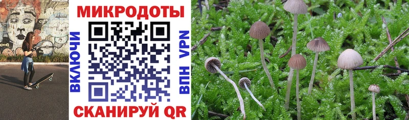 Псилоцибиновые грибы мухоморы  закладки  Нижнеудинск 