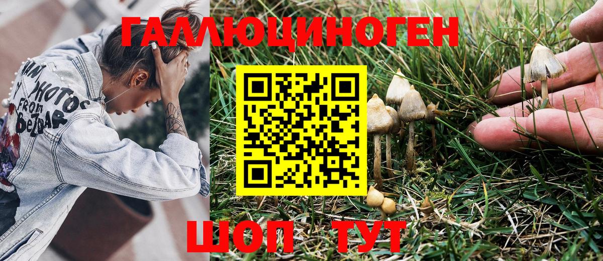 Нижнеудинск  Псилоцибиновые грибы GOLDEN TEACHER  Вход с VPN 