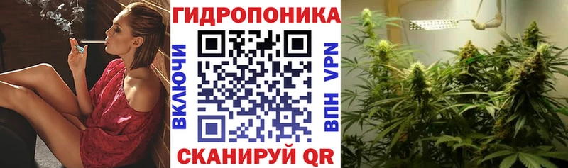 Бошки марихуана OG Kush Нижнеудинск